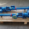 Zwei blaue Fludyn BE2L 236 Exzenterschneckenpumpen / Monopumpen, mit Motoren ausgestattet, mit Aufklebern versehen versandfertig auf einer hellen Holzpalette verschraubt.